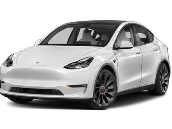TESLA MODEL Y 2023 7SAYGDEEXPF627197 image